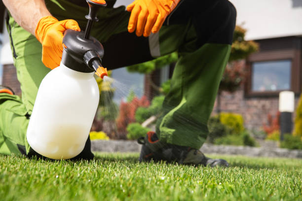 Pest Control Cost in Pierre Part, LA