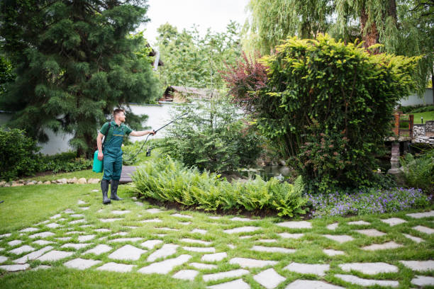 Best Pest Prevention Services  in Pierre Part, LA