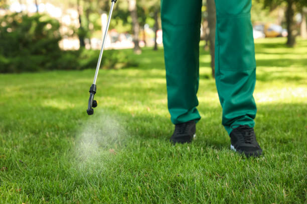 Best Rat Extermination Near Me  in Pierre Part, LA
