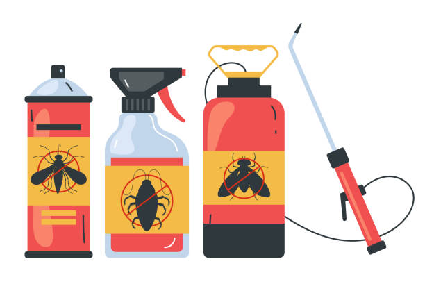 Best Spider Control Near Me  in Pierre Part, LA